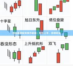 全国前三配资